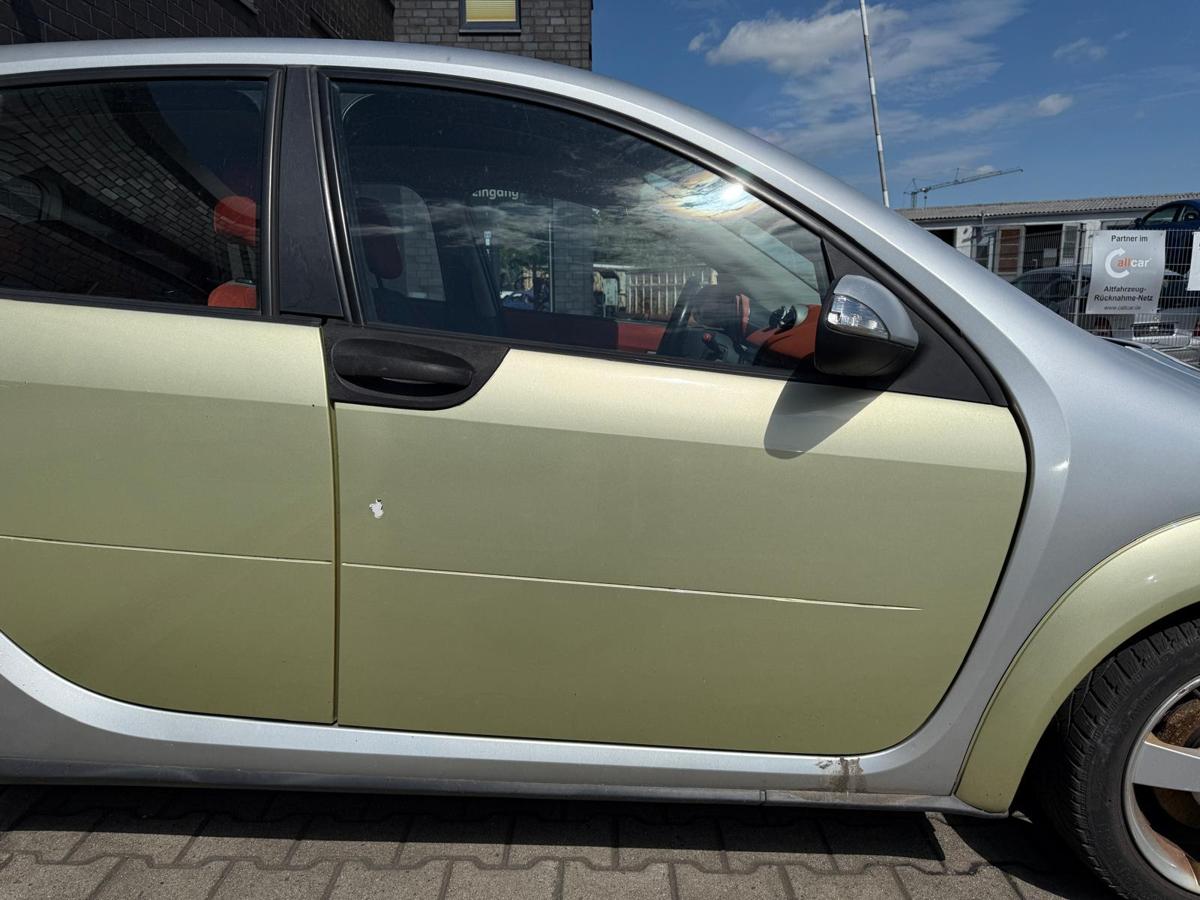 Smart ForFour 454 original Tür vorn rechts EAR Melon Green Rohbau BJ05